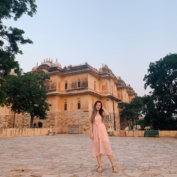 Meet your Posher, Cat - Picture 1 of 1